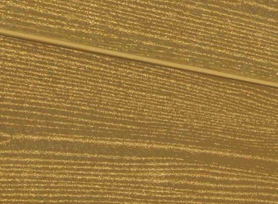 Террасная доска из ДПК Savewood Padus радиальный распил тик